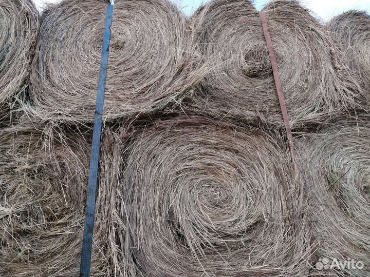 Сено в рулонах с доставкой