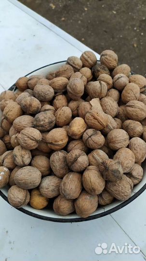 Грецкий орех