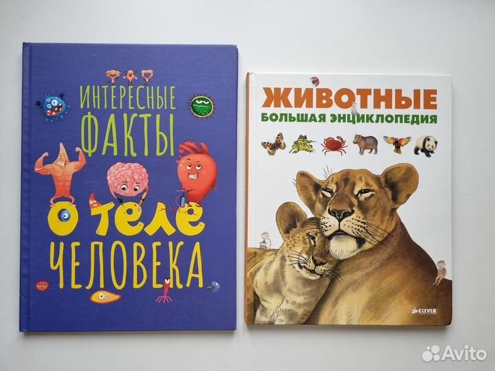 Детские Энциклопедии в картинках, книги с окошками