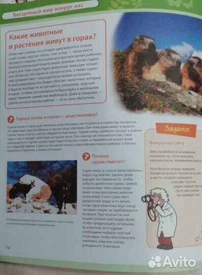 Детская энциклопедия