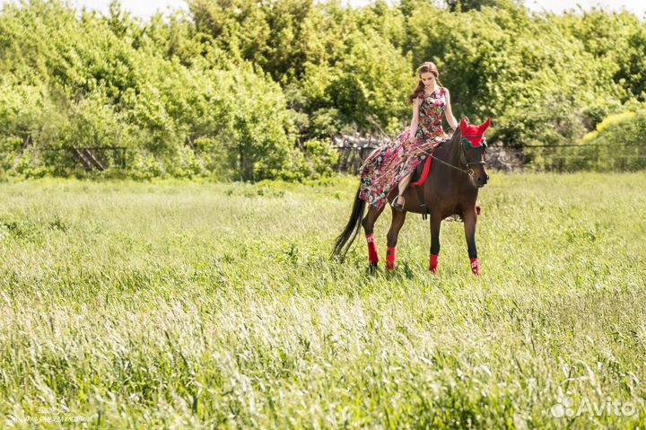 Прогулки на лошадях, фотосессии, обучение
