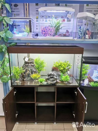 Аквариум 200л(100х40х50)