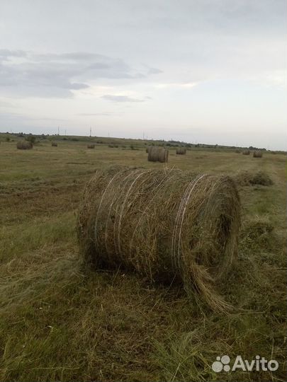 Сено луговое в рулонах