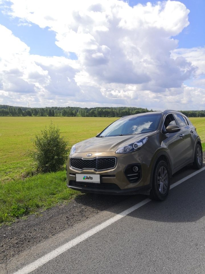 Kia Sportage: фото владельца