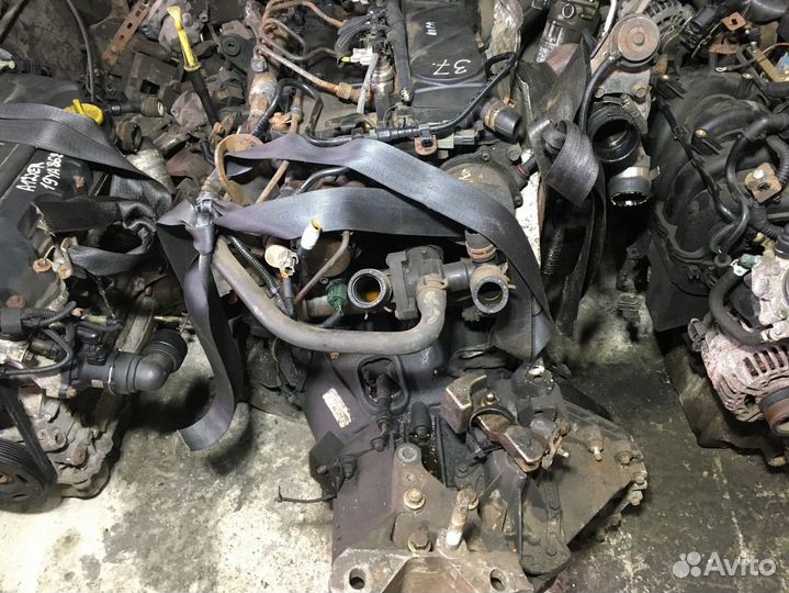 Двигатель ford transit 2008 qvfa 2.2 Дизель