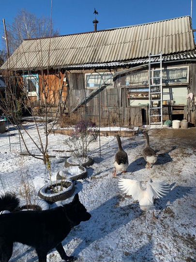 Участок 26 сот. (ИЖС)