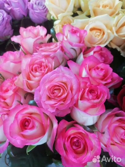 Цветы оптом розы
