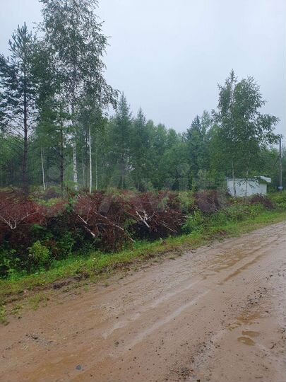 Участок 10 сот. (СНТ, ДНП)