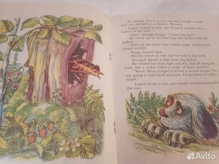 Бианки Первая охота на английском языке