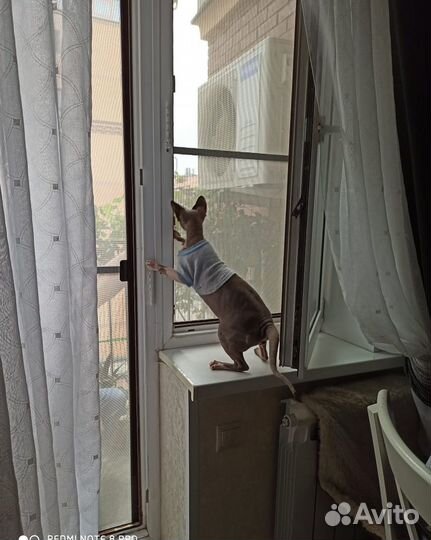 Дверная москитная сетка