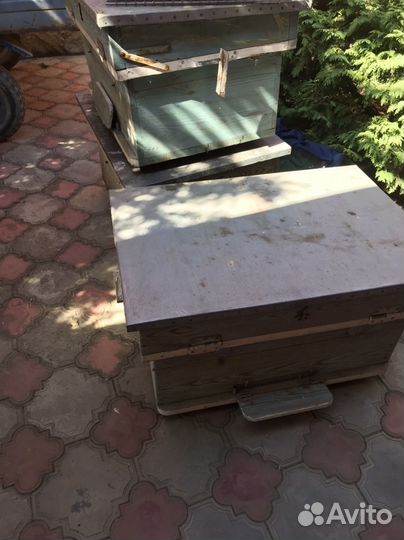 Продам ульи для пчел