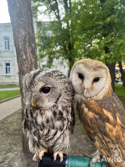 Фотоссессия