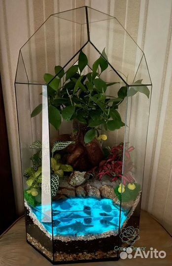 Флорариум Бонсай