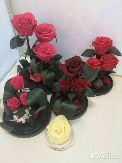 Роза в колбе оптом/ Подарок