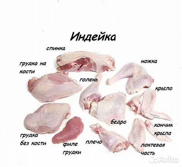 Индейка тушки разделка субпродукты полуфабрикаты