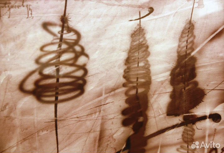 Перевезенцев Ю.Ю. Спиральные ели. 1995 год