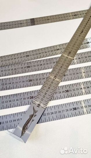 Линейка для измерения рыбы 70см