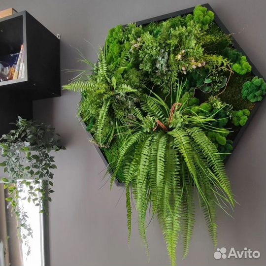 Панно на стену из мха и растений