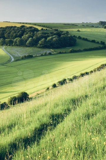 Участок 3192 га (СНТ, ДНП)