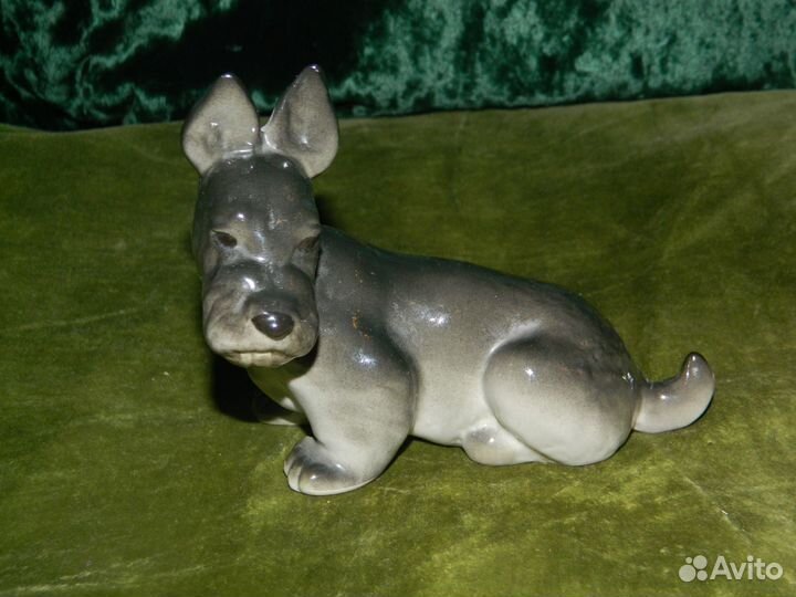 Скотч терьер лфз