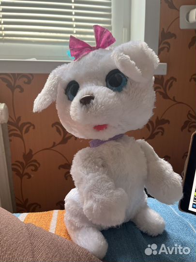 Интерактивная собака на поводке