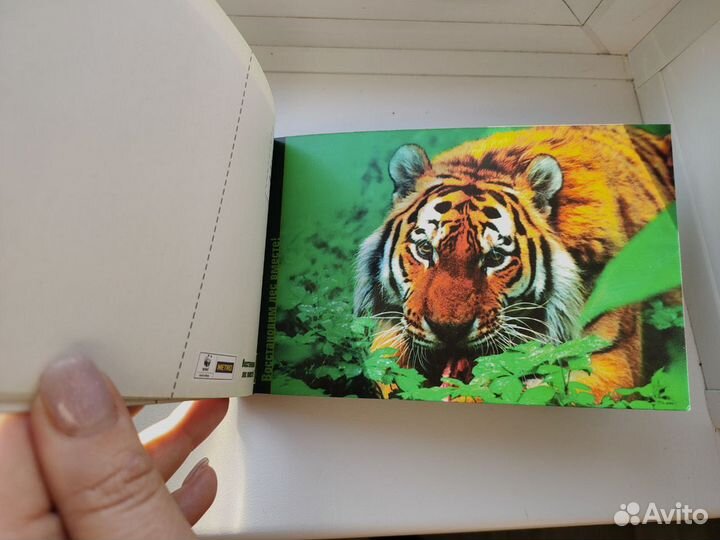 Открытки новые лес животные