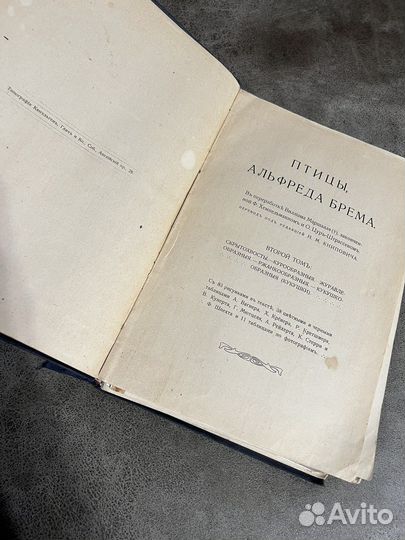 Альфред Брем (Брэм), Жизнь животных Птицы