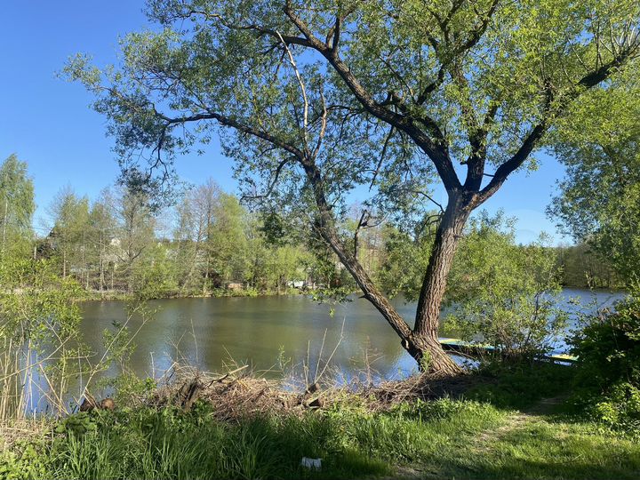 Дом 35 м² на участке 8 сот.