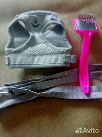 Шлейка для маленькой собаки