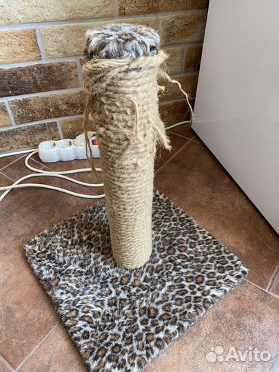 Когтеточка