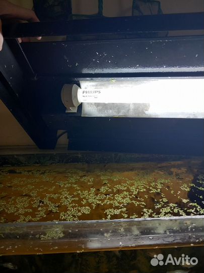 Аквариум с тумбой