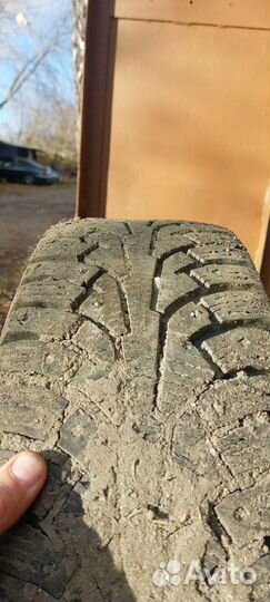 Nokian Tyres Hakkapeliitta 5 205/60 R16