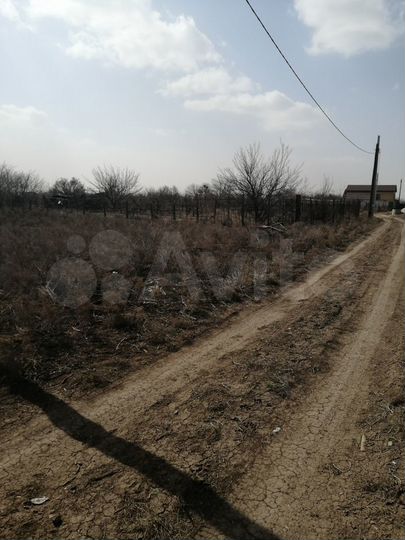 Участок 8,8 сот. (СНТ, ДНП)