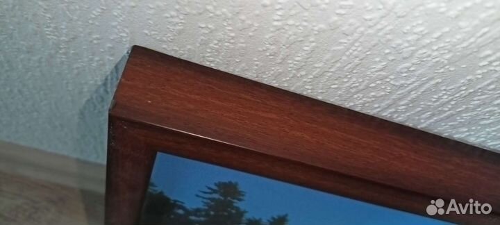 Фото картина на холсте 63 на 34 см