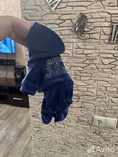 Костюм на маленькую собачку