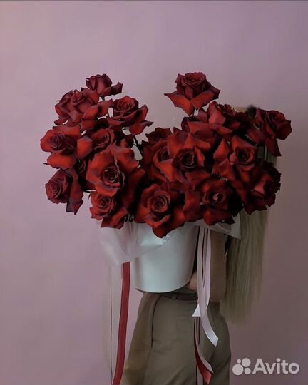 Букеты из роз Софи Лорен