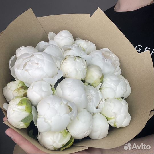 Пионы свежие