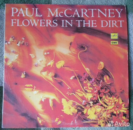 Виниловые пластинки (западная эстрада, поп-музыка)