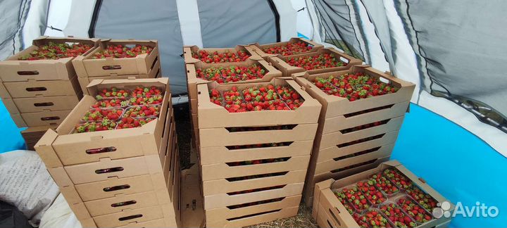 Коробки для ягод и не только