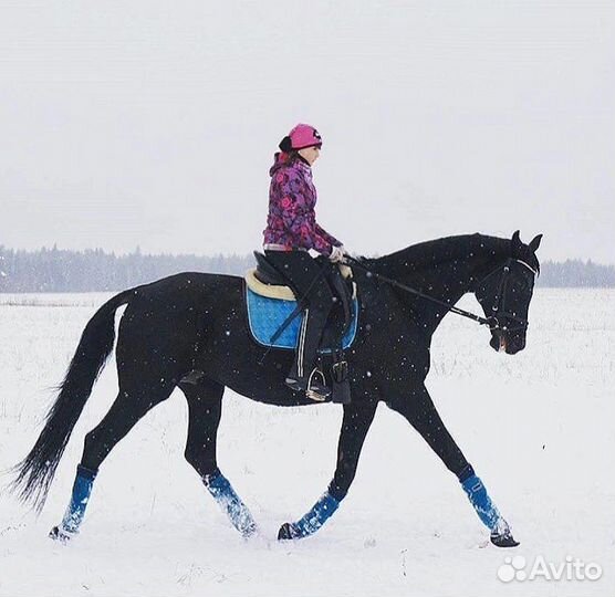 Личный водитель