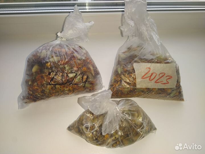 Семена бархатцев