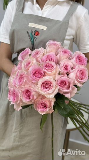 Голландская роза Мондиал