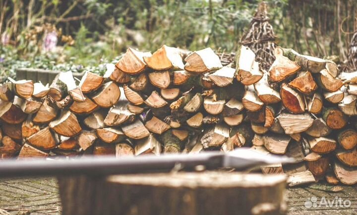 Дрова осина