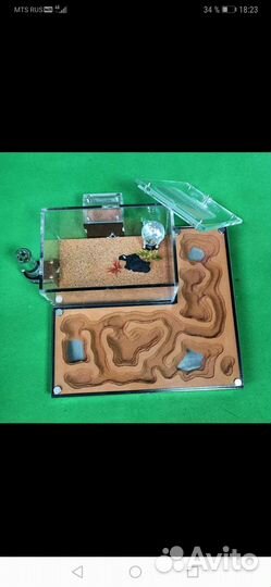 Формикарий муравьиная ферма Новая