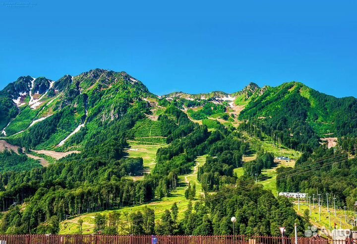 Экскурсия Красная поляна