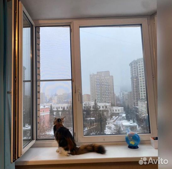 Москитная сетка Антикошка