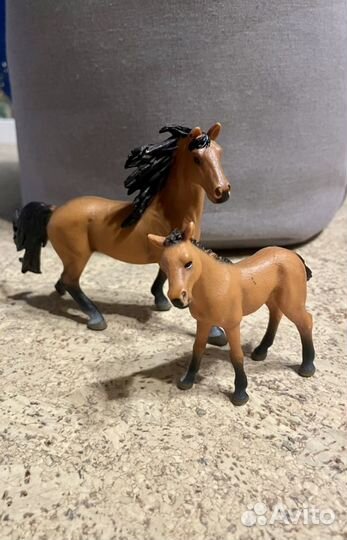 Животные и собаки