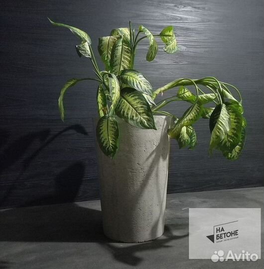 Кашпо, Вазоны, горшки для цветов