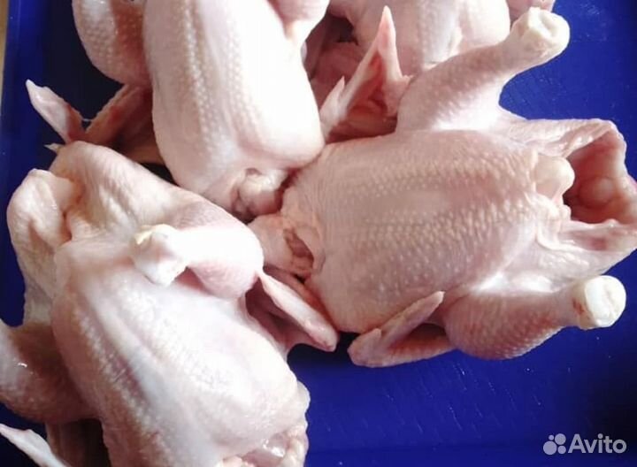 Куриное мясо