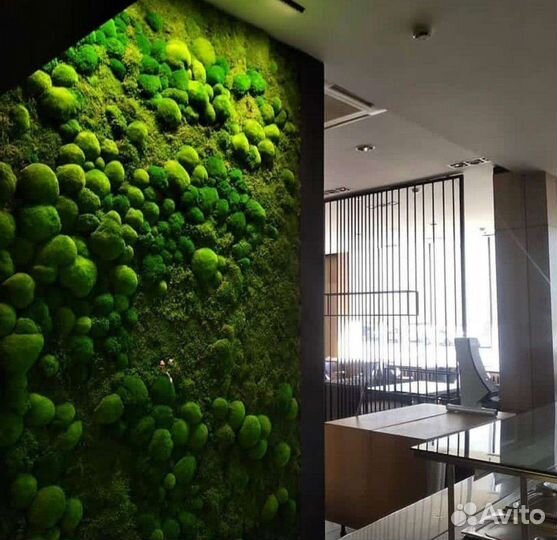 Фитокартина мох